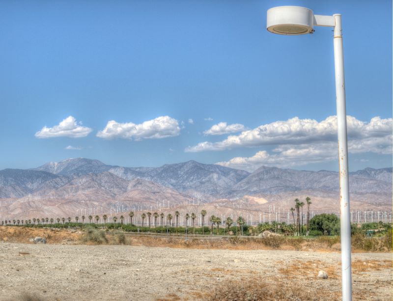 JoshuaTree