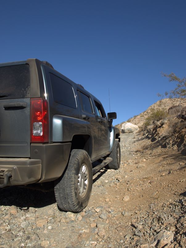 JoshuaTree