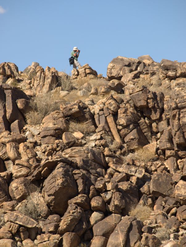 JoshuaTree