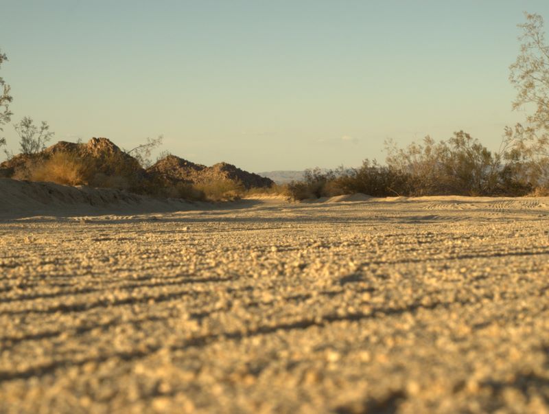 JoshuaTree