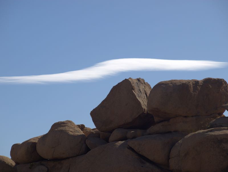 JoshuaTree