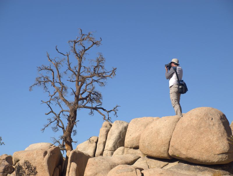 JoshuaTree