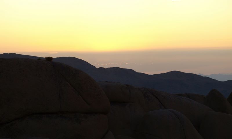 JoshuaTree