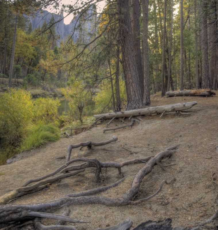 2009-10-Yosemite