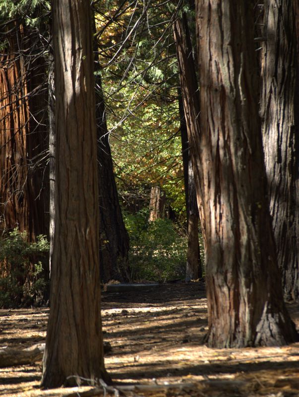 2009-10-Yosemite