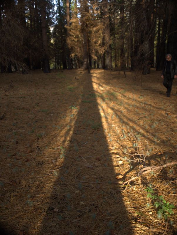 2009-10-Yosemite