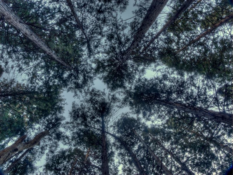 2009-10-Yosemite