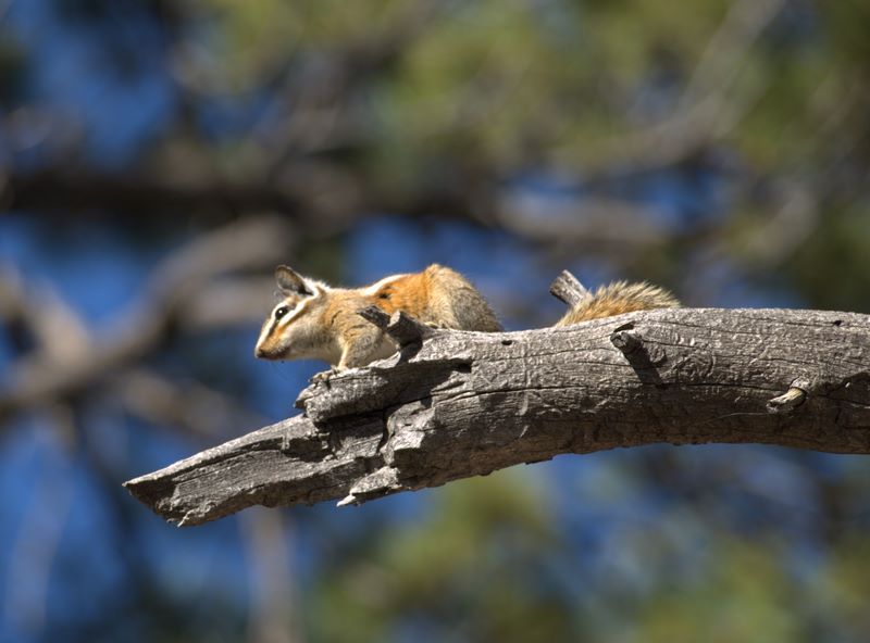 2009-10-Yosemite