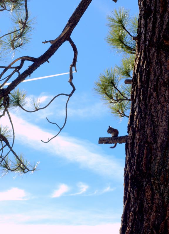 2009-10-Yosemite