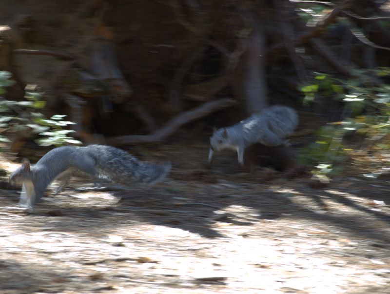 2009-10-Yosemite