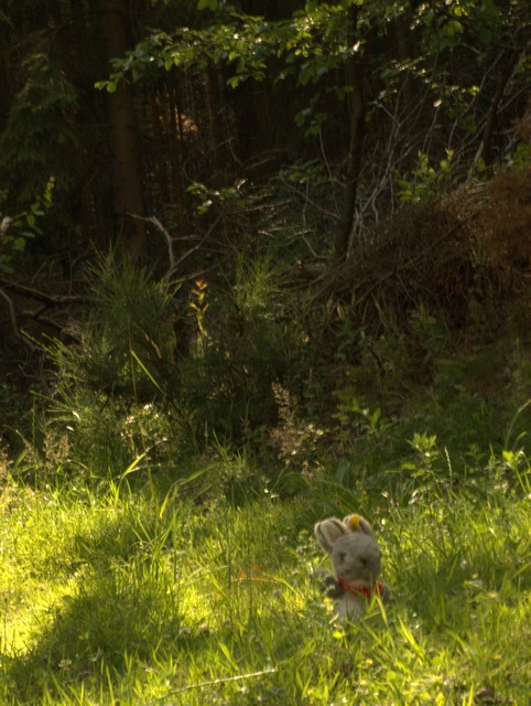 Henry