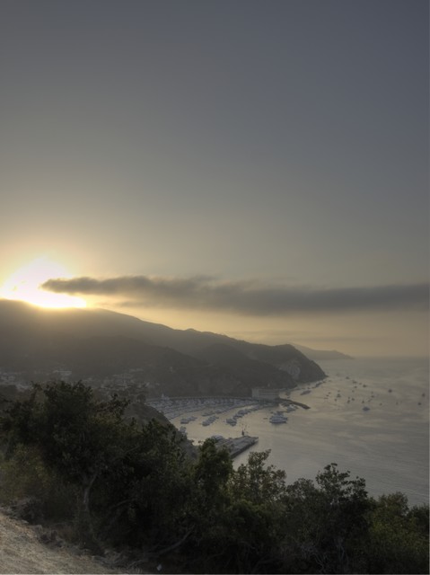 01_Landscape